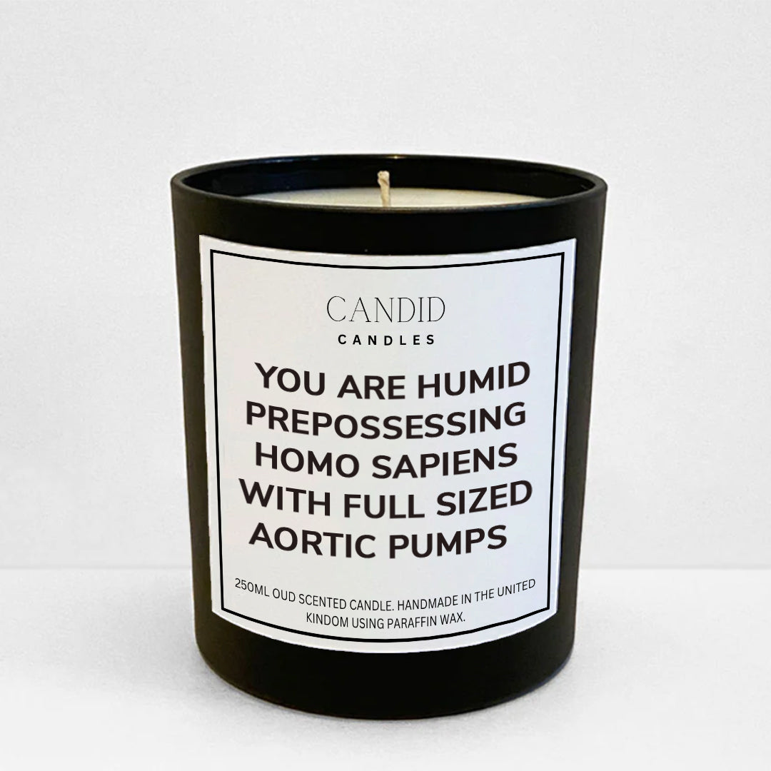 Friends inspired funny candle labelled 'You Are Humid Prepossessing Homo Sapiens With Full Sized Aortic Pumps'
