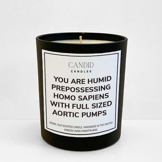 Friends inspired funny candle labelled 'You Are Humid Prepossessing Homo Sapiens With Full Sized Aortic Pumps'