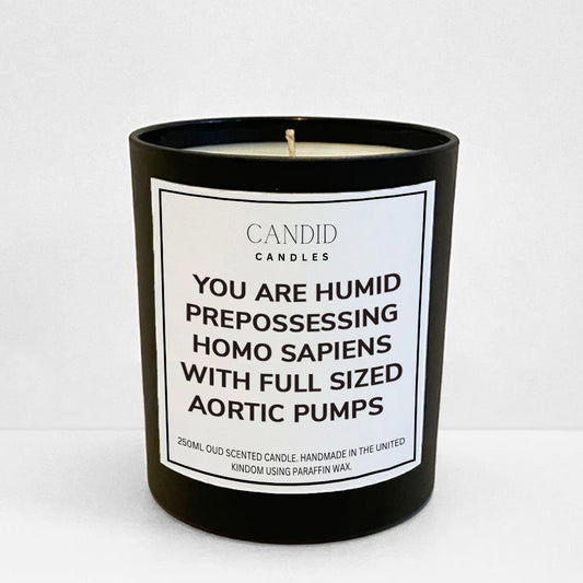 Friends inspired funny candle labelled 'You Are Humid Prepossessing Homo Sapiens With Full Sized Aortic Pumps' 
